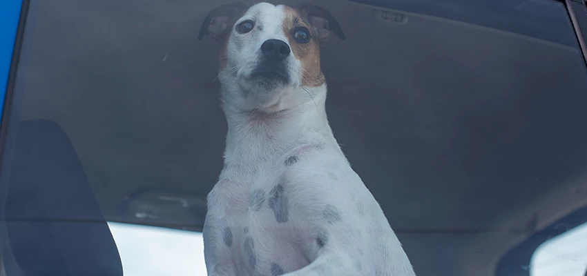 Car Lockout Solutions in Mecca, California